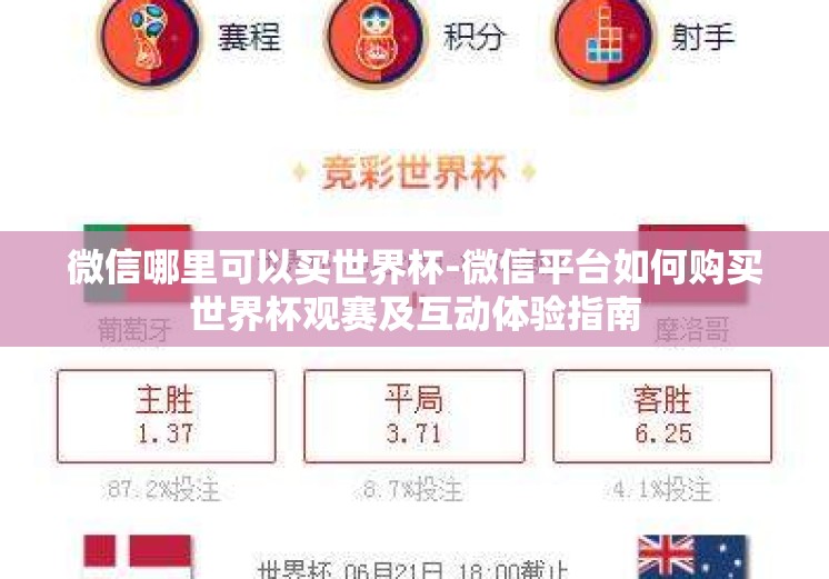 微信哪里可以买世界杯-微信平台如何购买世界杯观赛及互动体验指南