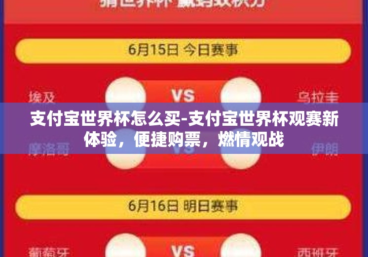 支付宝世界杯怎么买-支付宝世界杯观赛新体验，便捷购票，燃情观战