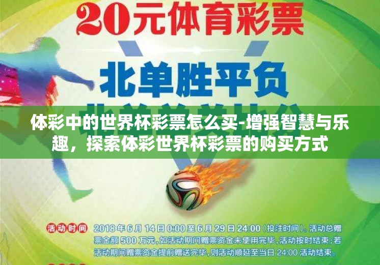 体彩中的世界杯彩票怎么买-增强智慧与乐趣，探索体彩世界杯彩票的购买方式