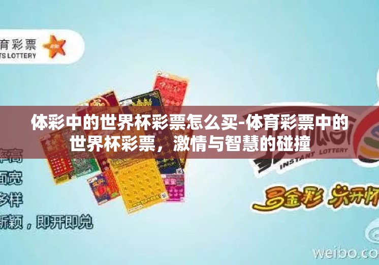 体彩中的世界杯彩票怎么买-体育彩票中的世界杯彩票，激情与智慧的碰撞