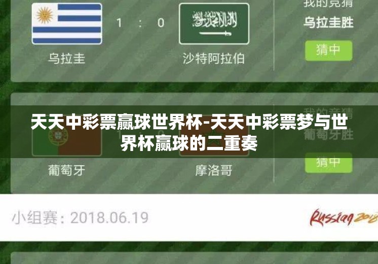 天天中彩票赢球世界杯-天天中彩票梦与世界杯赢球的二重奏
