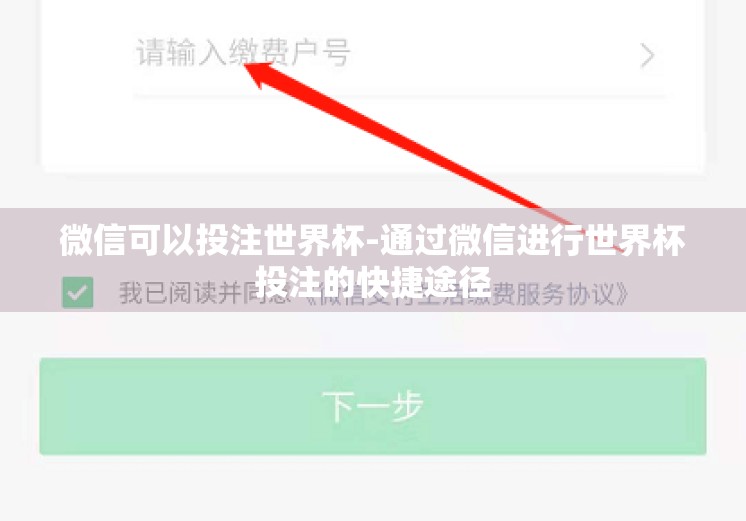 微信可以投注世界杯-通过微信进行世界杯投注的快捷途径