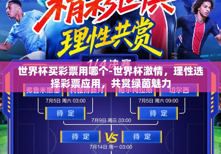 世界杯买彩票用哪个-世界杯激情，理性选择彩票应用，共赏绿茵魅力