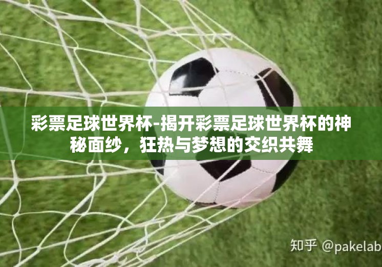 彩票足球世界杯-揭开彩票足球世界杯的神秘面纱，狂热与梦想的交织共舞