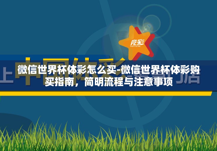 微信世界杯体彩怎么买-微信世界杯体彩购买指南，简明流程与注意事项