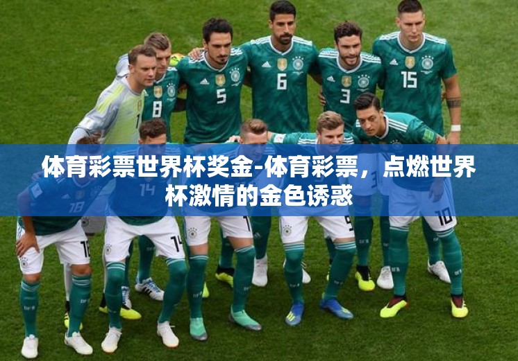 体育彩票世界杯奖金-体育彩票,点燃世界杯激情的金色诱惑 体育彩票世界杯奖金-体育彩票,点燃世界杯激情的金色诱惑
