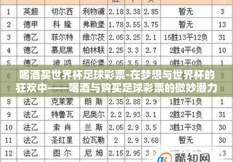 喝酒买世界杯足球彩票-在梦想与世界杯的狂欢中——喝酒与购买足球彩票的微妙潜力