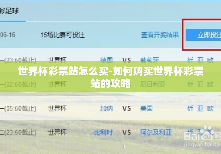 世界杯彩票站怎么买-如何购买世界杯彩票站的攻略