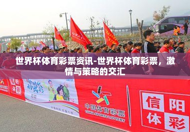 世界杯体育彩票资讯-世界杯体育彩票，激情与策略的交汇