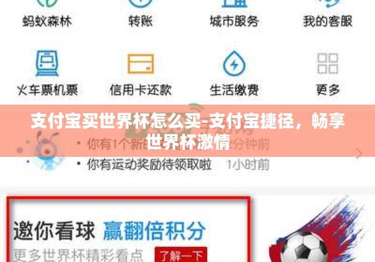 支付宝买世界杯怎么买-支付宝捷径，畅享世界杯激情