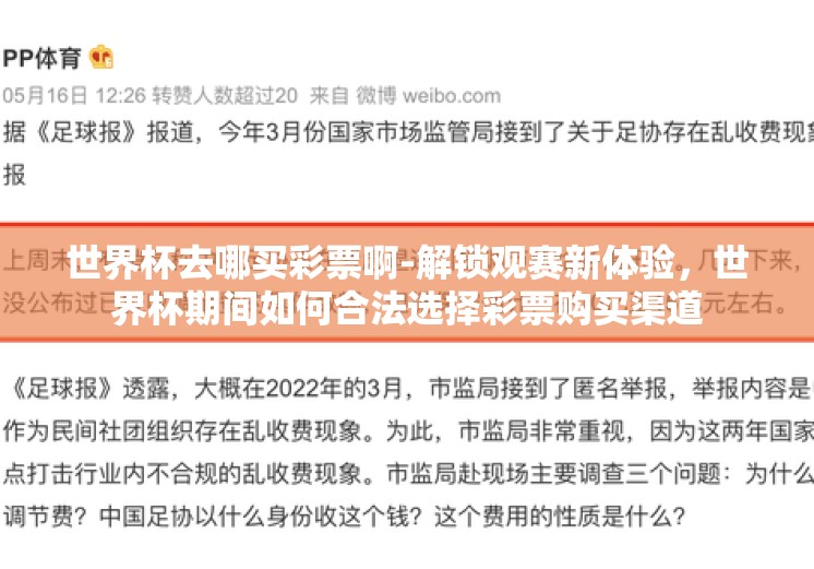世界杯去哪买彩票啊-解锁观赛新体验，世界杯期间如何合法选择彩票购买渠道