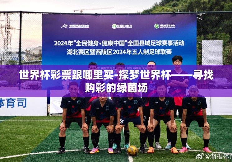 世界杯彩票跟哪里买-探梦世界杯——寻找购彩的绿茵场