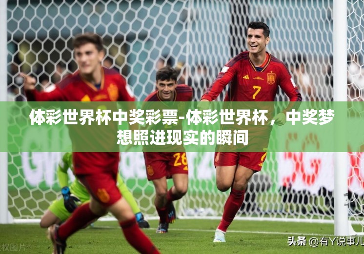 体彩世界杯中奖彩票-体彩世界杯，中奖梦想照进现实的瞬间