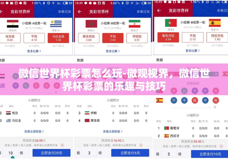 微信世界杯彩票怎么玩-微观视界，微信世界杯彩票的乐趣与技巧