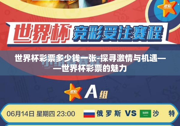 世界杯彩票多少钱一张-探寻激情与机遇——世界杯彩票的魅力