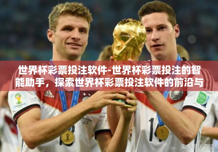 世界杯彩票投注软件-世界杯彩票投注的智能助手，探索世界杯彩票投注软件的前沿与挑战