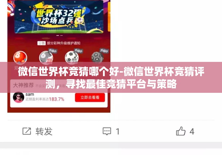 微信世界杯竞猜哪个好-微信世界杯竞猜评测，寻找最佳竞猜平台与策略