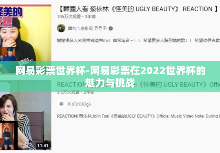 网易彩票世界杯-网易彩票在2022世界杯的魅力与挑战