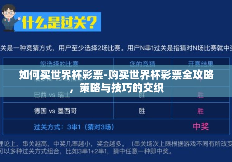 如何买世界杯彩票-购买世界杯彩票全攻略，策略与技巧的交织