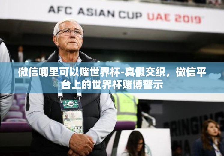 微信哪里可以赌世界杯-真假交织，微信平台上的世界杯赌博警示