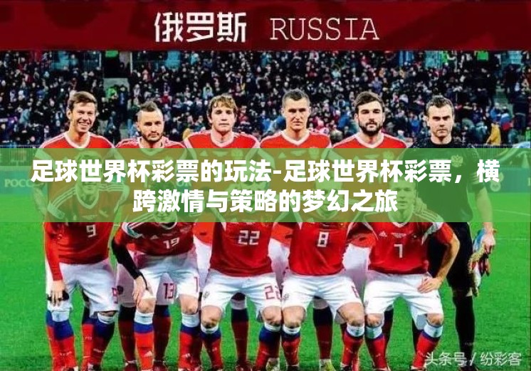 足球世界杯彩票的玩法-足球世界杯彩票，横跨激情与策略的梦幻之旅