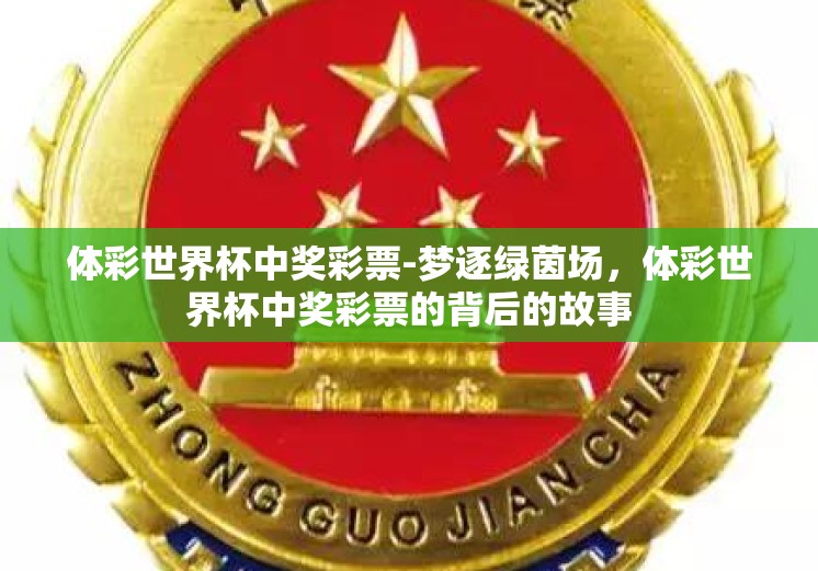 体彩世界杯中奖彩票-梦逐绿茵场，体彩世界杯中奖彩票的背后的故事