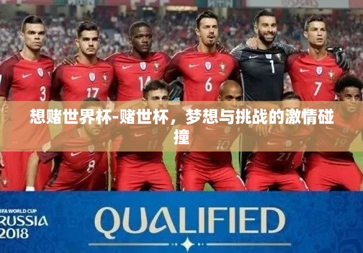 想赌世界杯-赌世杯，梦想与挑战的激情碰撞