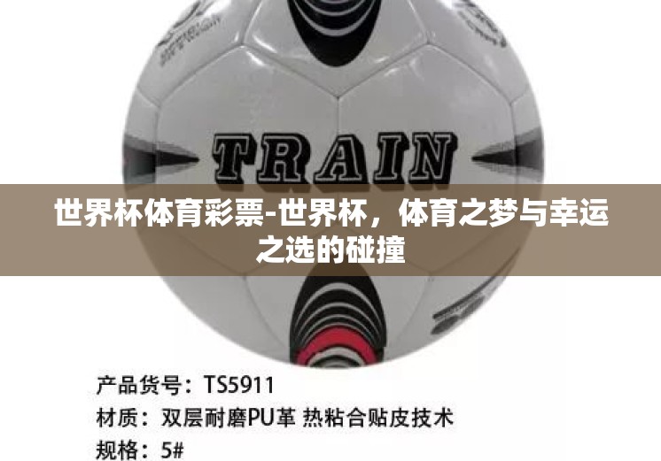世界杯体育彩票-世界杯，体育之梦与幸运之选的碰撞