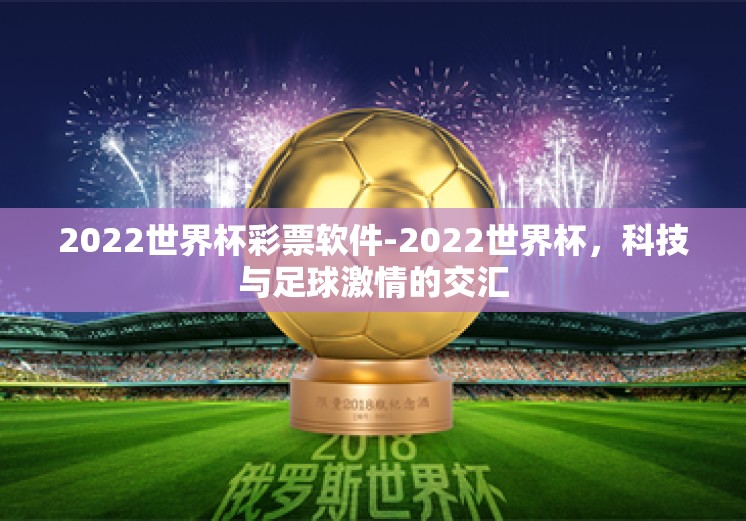 2022世界杯彩票软件-2022世界杯，科技与足球激情的交汇