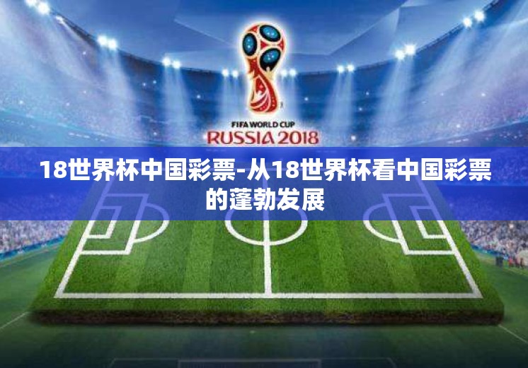 18世界杯中国彩票-从18世界杯看中国彩票的蓬勃发展