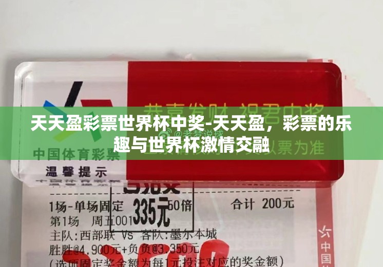 天天盈彩票世界杯中奖-天天盈，彩票的乐趣与世界杯激情交融