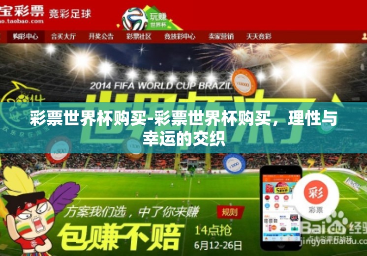 彩票世界杯购买-彩票世界杯购买，理性与幸运的交织