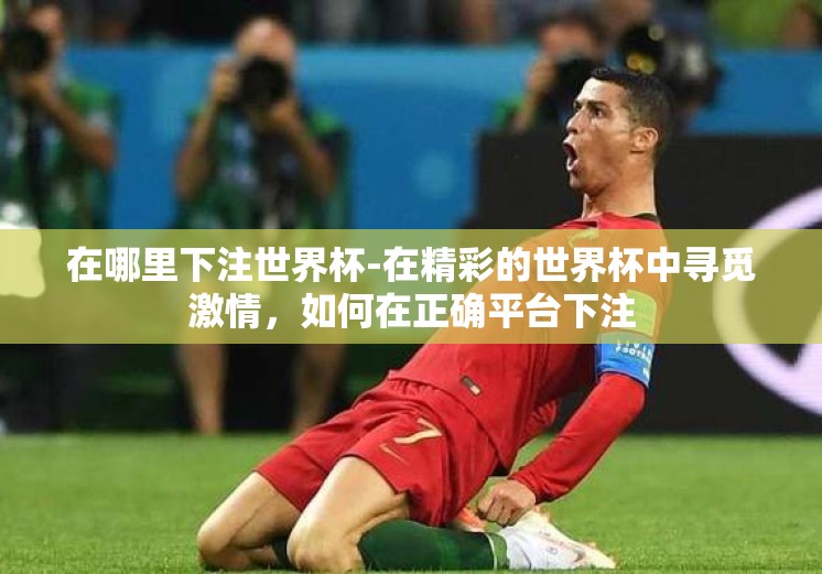 在哪里下注世界杯-在精彩的世界杯中寻觅激情，如何在正确平台下注