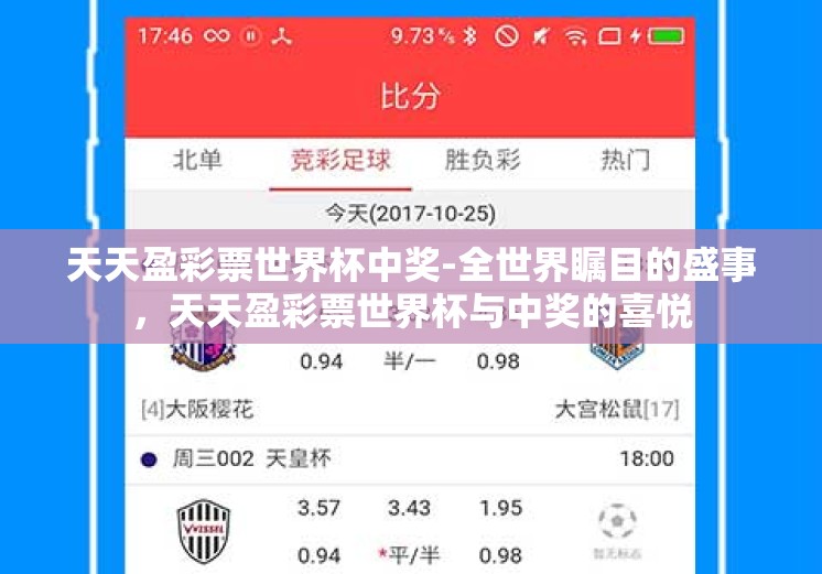 天天盈彩票世界杯中奖-全世界瞩目的盛事，天天盈彩票世界杯与中奖的喜悦