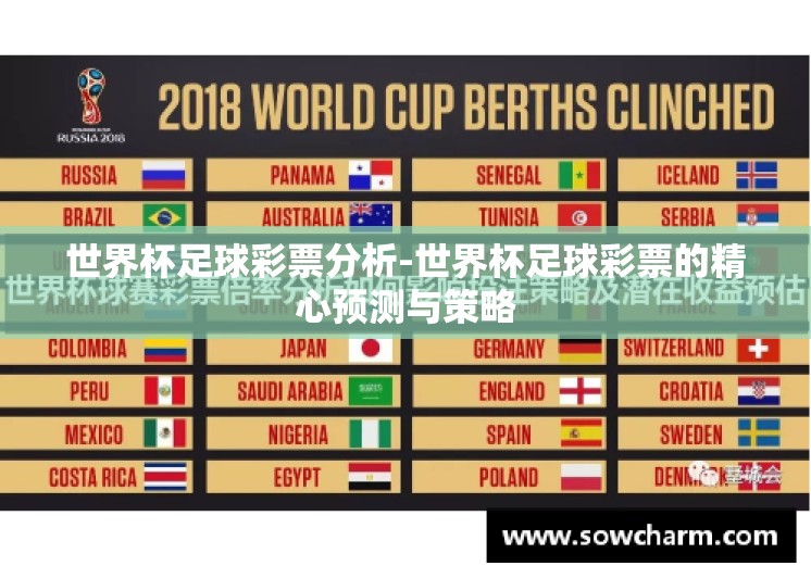 世界杯足球彩票分析-世界杯足球彩票的精心预测与策略