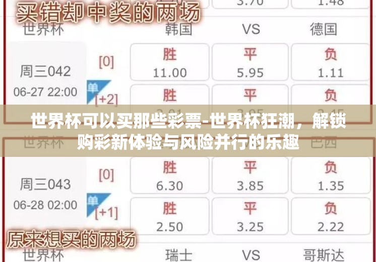 世界杯可以买那些彩票-世界杯狂潮,解锁购彩新体验与风险并行的乐趣 世界杯可以买那些彩票-世界杯狂潮,解锁购彩新体验与风险并行的乐趣