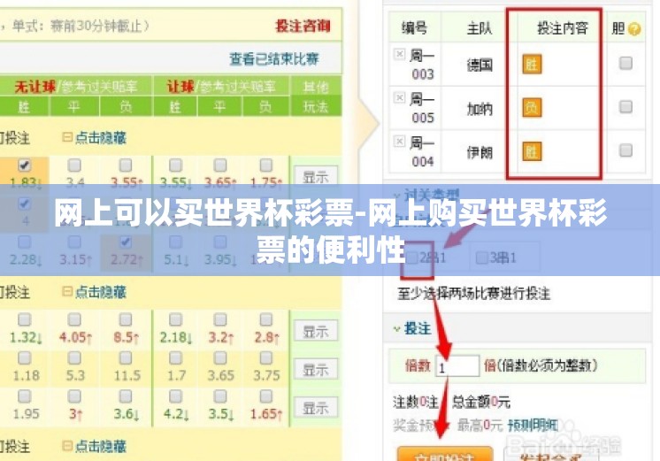 网上可以买世界杯彩票-网上购买世界杯彩票的便利性