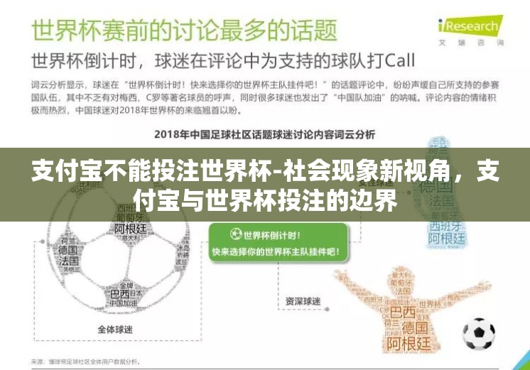 支付宝不能投注世界杯-社会现象新视角，支付宝与世界杯投注的边界