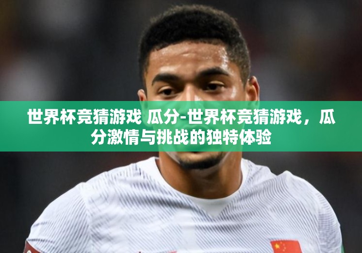 世界杯竞猜游戏 瓜分-世界杯竞猜游戏，瓜分激情与挑战的独特体验