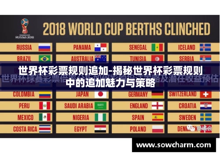 世界杯彩票规则追加-揭秘世界杯彩票规则中的追加魅力与策略