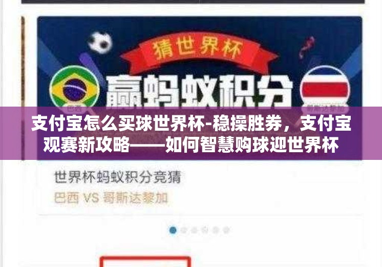 支付宝怎么买球世界杯-稳操胜券，支付宝观赛新攻略——如何智慧购球迎世界杯