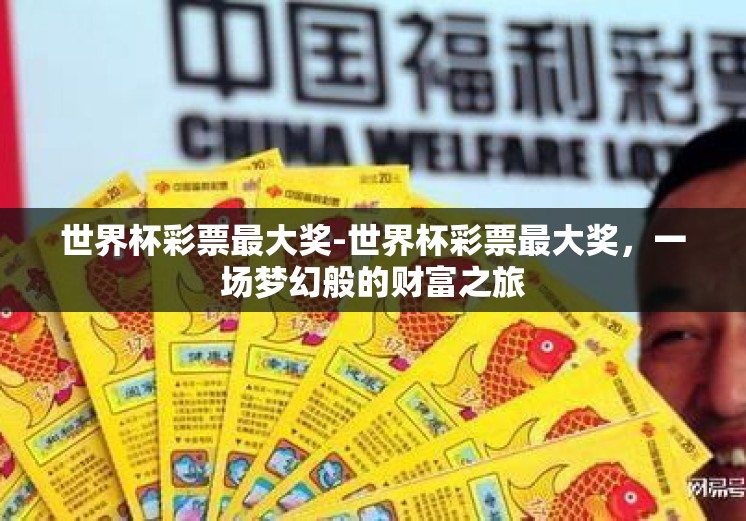 世界杯彩票最大奖-世界杯彩票最大奖，一场梦幻般的财富之旅
