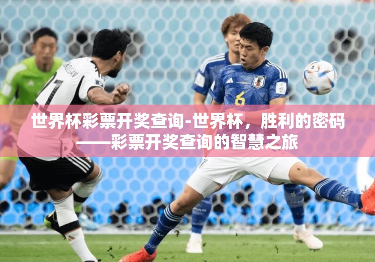 世界杯彩票开奖查询-世界杯，胜利的密码——彩票开奖查询的智慧之旅