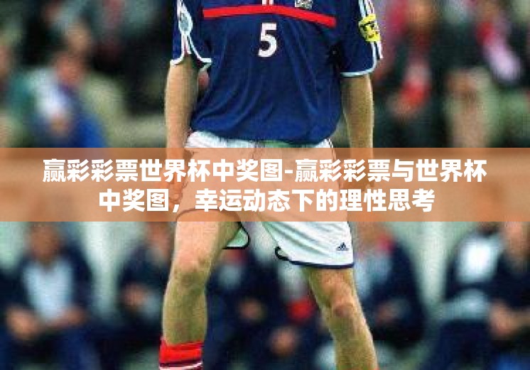 赢彩彩票世界杯中奖图-赢彩彩票与世界杯中奖图，幸运动态下的理性思考