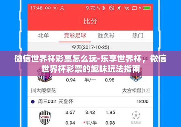 微信世界杯彩票怎么玩-乐享世界杯，微信世界杯彩票的趣味玩法指南