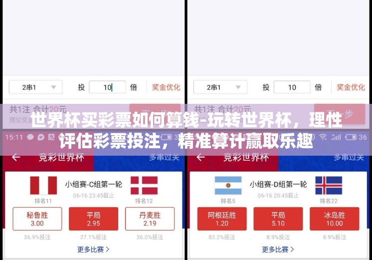世界杯买彩票如何算钱-玩转世界杯，理性评估彩票投注，精准算计赢取乐趣