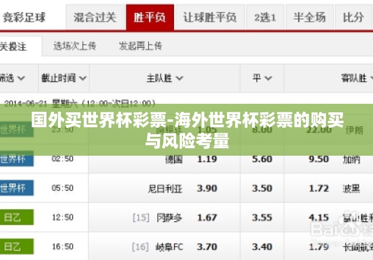 国外买世界杯彩票-海外世界杯彩票的购买与风险考量