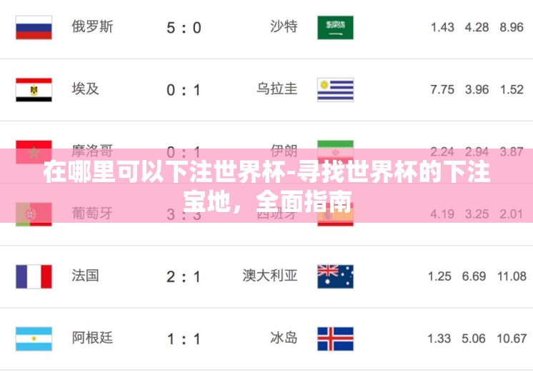 在哪里可以下注世界杯-寻找世界杯的下注宝地，全面指南