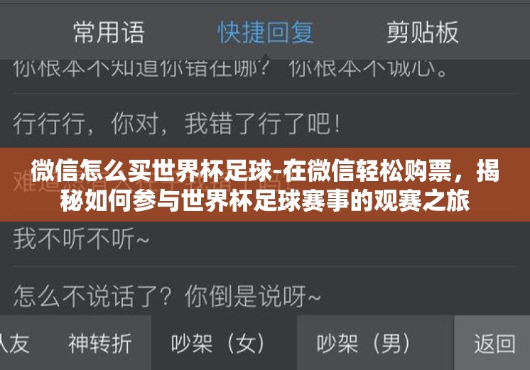 微信怎么买世界杯足球-在微信轻松购票，揭秘如何参与世界杯足球赛事的观赛之旅