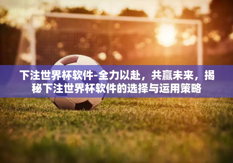 下注世界杯软件-全力以赴，共赢未来，揭秘下注世界杯软件的选择与运用策略